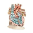 thumbnail image 4 of Modelo de corazón anatómico Estructuras anatómicas 2D Tablero anatómico plano Ayuda de aprendizaje Modelo de corazón humano para estudio científ, 4 of 9