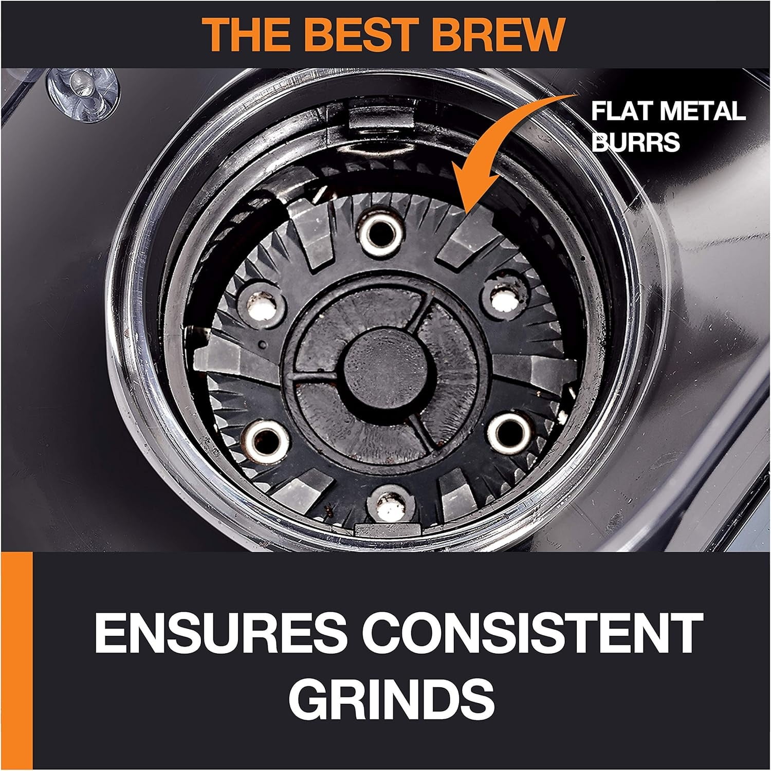 Precision Burr Coffee Grinder: 12 Settings, 8 oz Capacity for Drip, French Press, Espresso, Pour Over, Cold Brew - Stainless Steel, 110W, Auto-Stop, Easy Clean - Coffee Grinders for Home Use