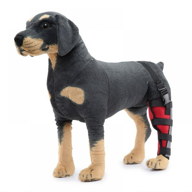 After Surgery Wear Hip and Thigh Wound Protective Sleeve for Dogs. Dog Recovery Sleeve Walmart