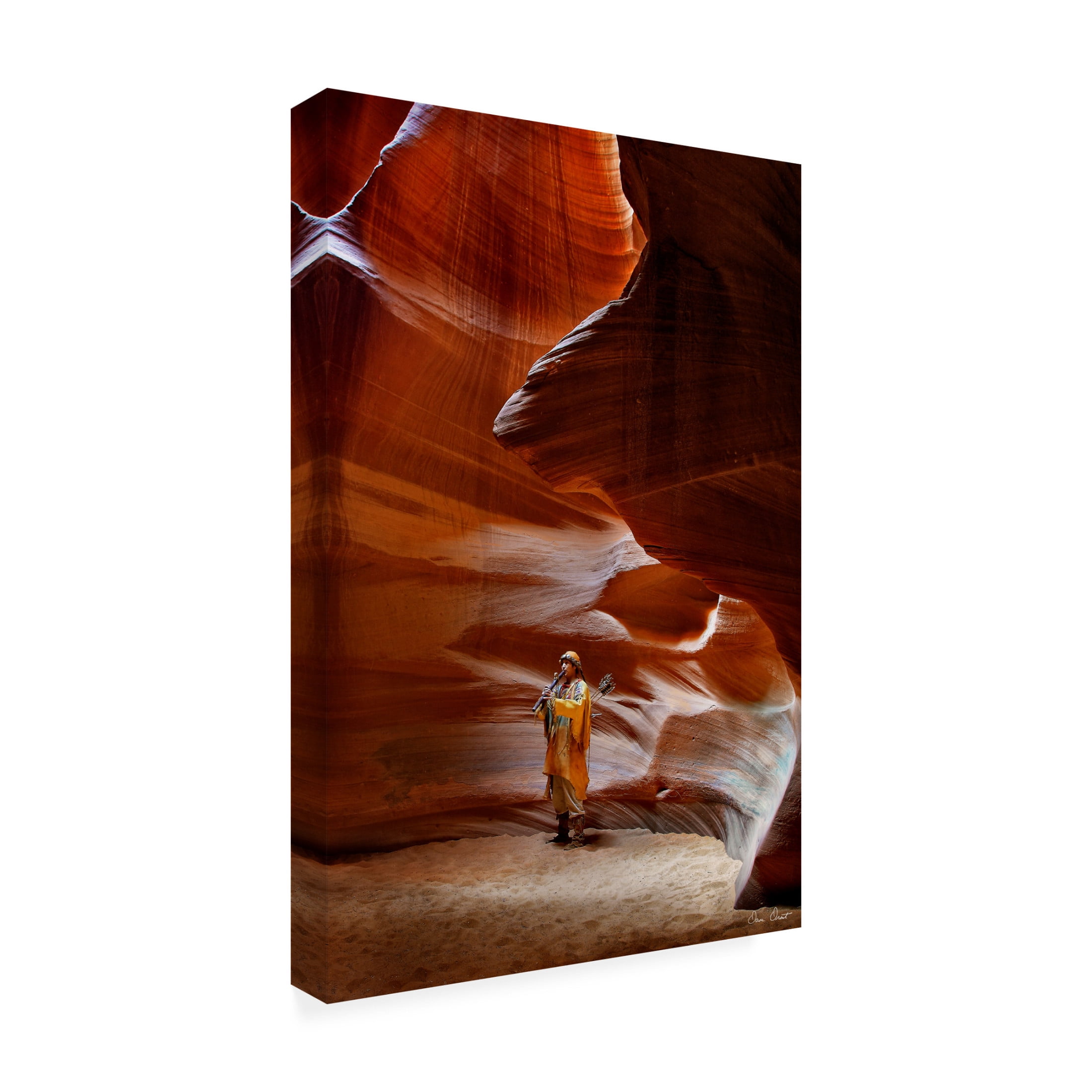Trademark Fine Art David Drost  Guiding Light IV Canvas Wall Art