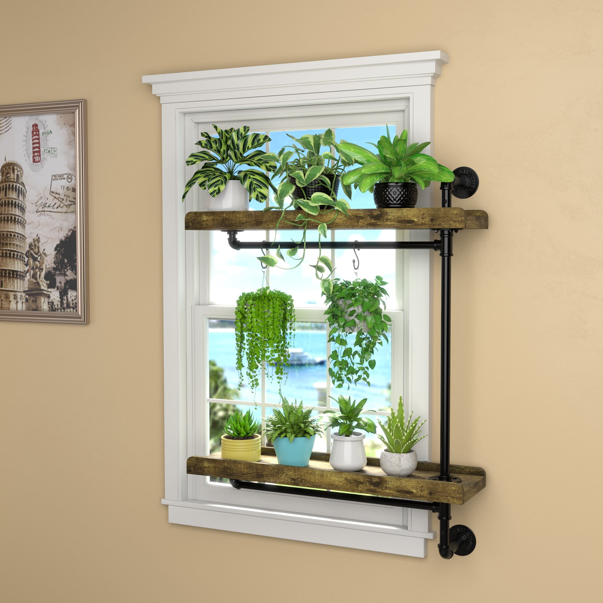 Wooden Hanging Window Shelf Suction Window Shelf Plant Shelf Hanging Plant  Stand Hanging Window Plant Stand 