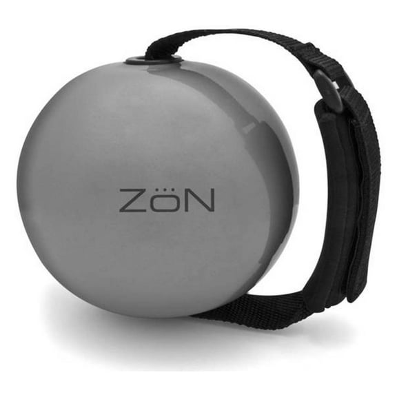 ZoN Weighted Exercise Ball with Adjustable Hand Strap - 2 lb.