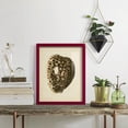 thumbnail image 5 of Sealife Collection III - Framed Print w/glass - Cherry Red, 5 of 7