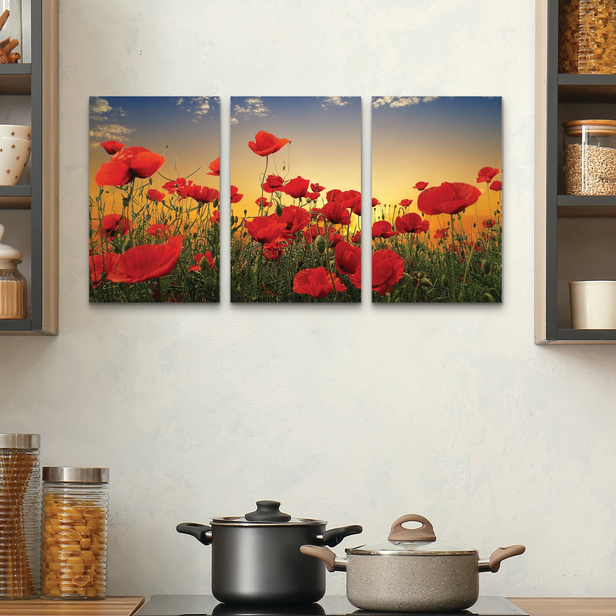 Albena Markova ‘Poppies’ 3 Panel Wall Art Set