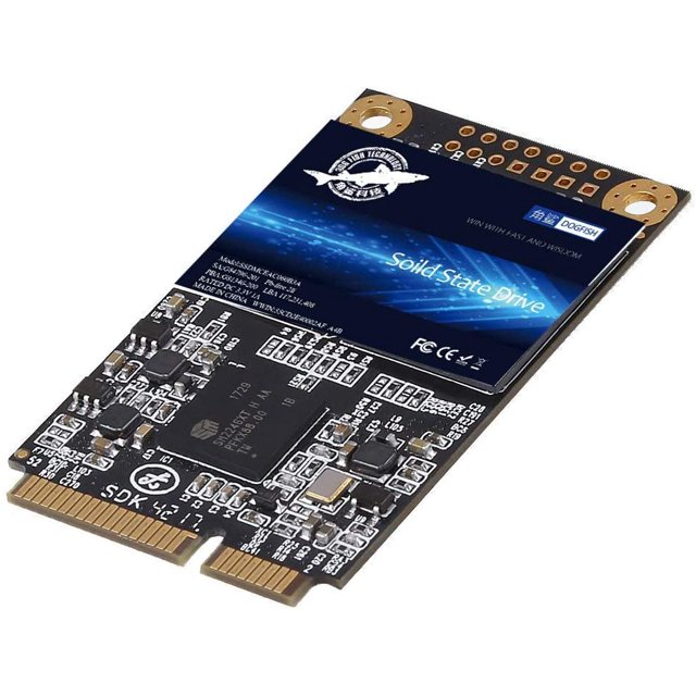 SSD SATA mSATA 256 Go Dogfish Disque Dur Interne Haute Performance pour Ordinateur de Bureau Portable SATA III 6Gb/s