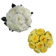 thumbnail image 3 of Bloomingmore Fresh Cut 36-Count White Roses, Premium-Quality Live Plants, 3 of 5