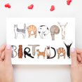 thumbnail image 2 of Bhiosng Tarjeta de feliz cumpleaños para amantes de los gatos, tarjetas de cumpleaños divertidas para hombres y mujeres, lindo propietario de gato, regalo de cumpleaños de humor de gato, tarjeta de re, 2 of 7