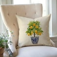 thumbnail image 6 of Blue and Green Pillow Cover 18x18 Inch Chinoiserie Porcelain Ginger Jar Yellow Lemon Grand Millenial Outdoor Summer Farmhouse Decorations Decorative Throw Pillows Cases for Home Couch Decor, 6 of 6