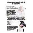 thumbnail image 4 of Collar Para Perro Cadena Cubana Dorada Todas Las Tallas, 4 of 4