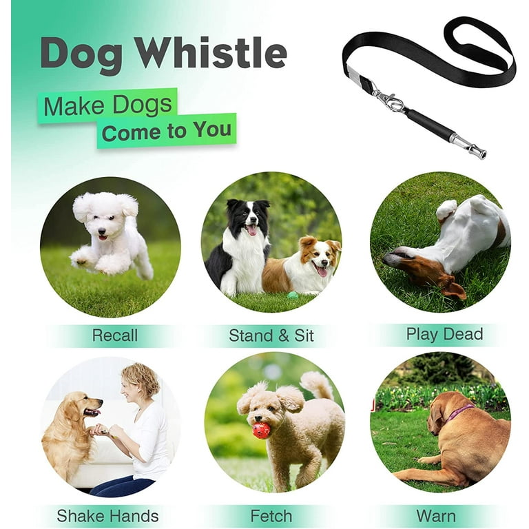 How to stop a deaf dog from barking 2025