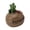 Frog Green, variant on Riousery Cute Snail Resin Ashtray with Lid Innovative Cartoon Animal Hand Painted Cigarette Ash Holder for Home Living Room Office Desktop Decor 5.91 inches / 15.0 cm Snail Style