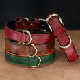 thumbnail image 5 of Didog Soft Leather Dog Collar Heavy Duty Durable Brass Buckle for Small Medium Large Dogs Brown Red Green, 5 of 6