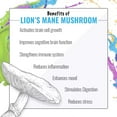 thumbnail image 3 of KOIOS - Nootropic Peach Mango Functional Beverage, Enhances Brain Function, Productivity, Reduce Stress, w/ Lion’s Mane Mushroom, MCT Oil, & Natural Caffeine, Gluten-Free, 12 Fl Oz Cans (12-Pack), 3 of 13
