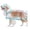 Blue, variant on Dog Raincoat, Dog Jacket Hooded Slicker Poncho, Transparent Water Proof Resistant Rain Snow Pet Clothes for Small Medium Large Dogs Pink L