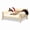 Creamy white sofa, variant on Elevated Wooden Cat Couch with Washable Removable Cover, Sturdy Detachable Pet Sofa, Comfortable Sleeping Bed for Cats, Kittens, Puppies & Other Small Indoor Animals