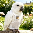 thumbnail image 4 of Reusable Bird Diaper for Parrot, Pigeon Waste Catcher Wrap with Adjustable Fit, Avian Hygiene Suit for Indoor Use, Party Costume Photo Prop, 4 of 4