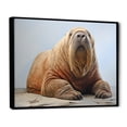 thumbnail image 2 of Designart "Home Of The Relaxed Walrus" Walrus Floater Framed Canvas Wall Art, 2 of 5