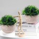 thumbnail image 4 of Mini plantas artificiales, césped verde falso de plástico, baño, oficina en casa, decoración de interiores, 4 of 5