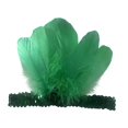 thumbnail image 1 of Diadema de plumas decorativa para fiesta, baile, escenario, espectáculo, cosplay Verde, 1 of 9
