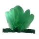 thumbnail image 1 of Diadema de plumas decorativa para fiesta, baile, escenario, espectáculo, cosplay Verde, 1 of 9