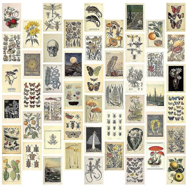 Vintage Aesthetic Wall Collage Kit - 50 Mini Botanical Cottagecore Collage Art Posters (4X6Inch), f