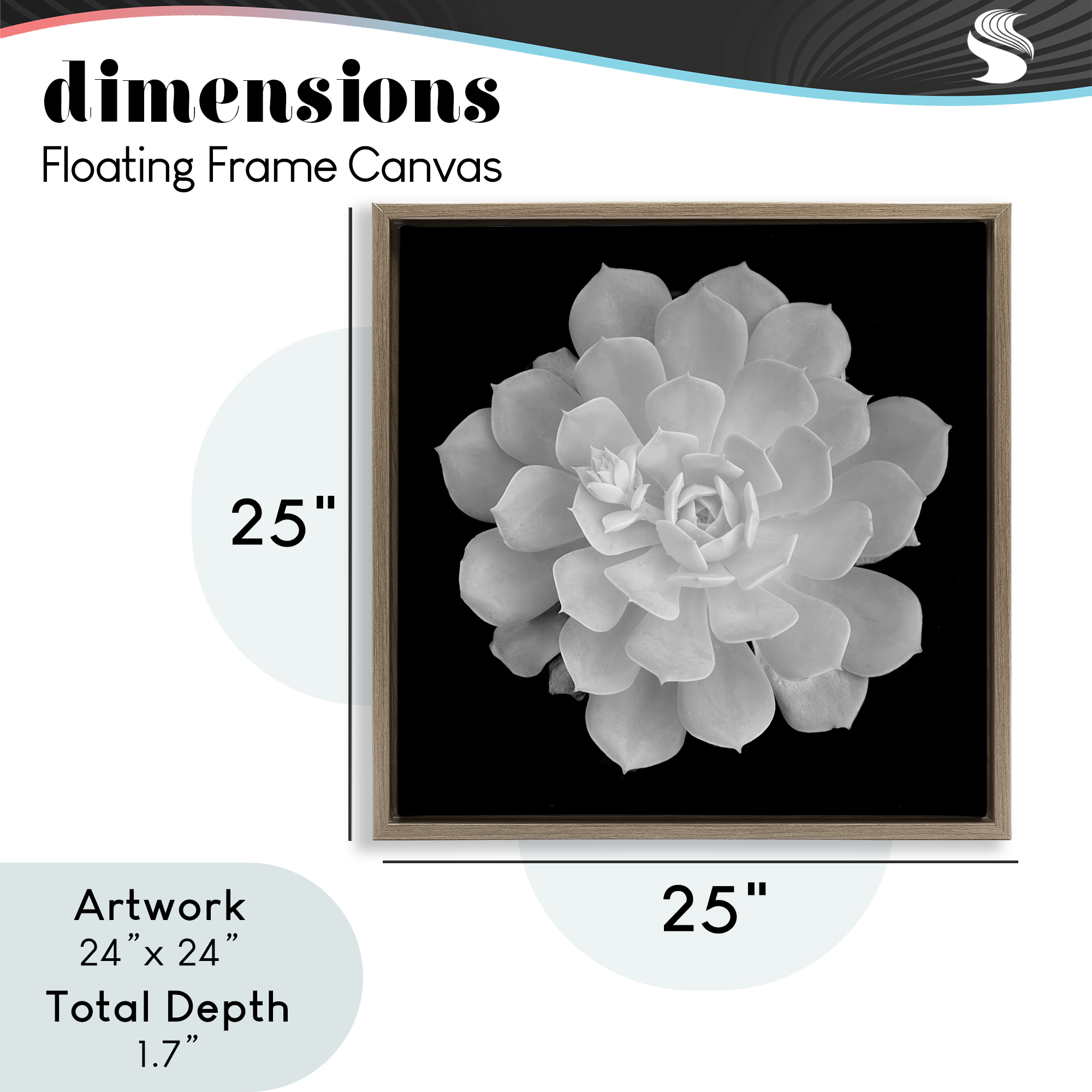Pure White Succulent Contrast Brown Framed Floater Canvas Wall Art, design by Phillip Flowers