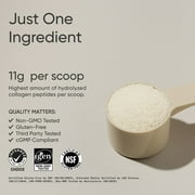Sports Research® Collagen Peptides for Women & Men Hydrolyzed Type 1 & 3 Collagen Powder Protein (41 Servings)