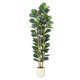 thumbnail image 1 of 6ft artificial fiddle leaf fig tree con blanca pot y green fiddle leaves para indoor y outdoor home decor, 1 of 7