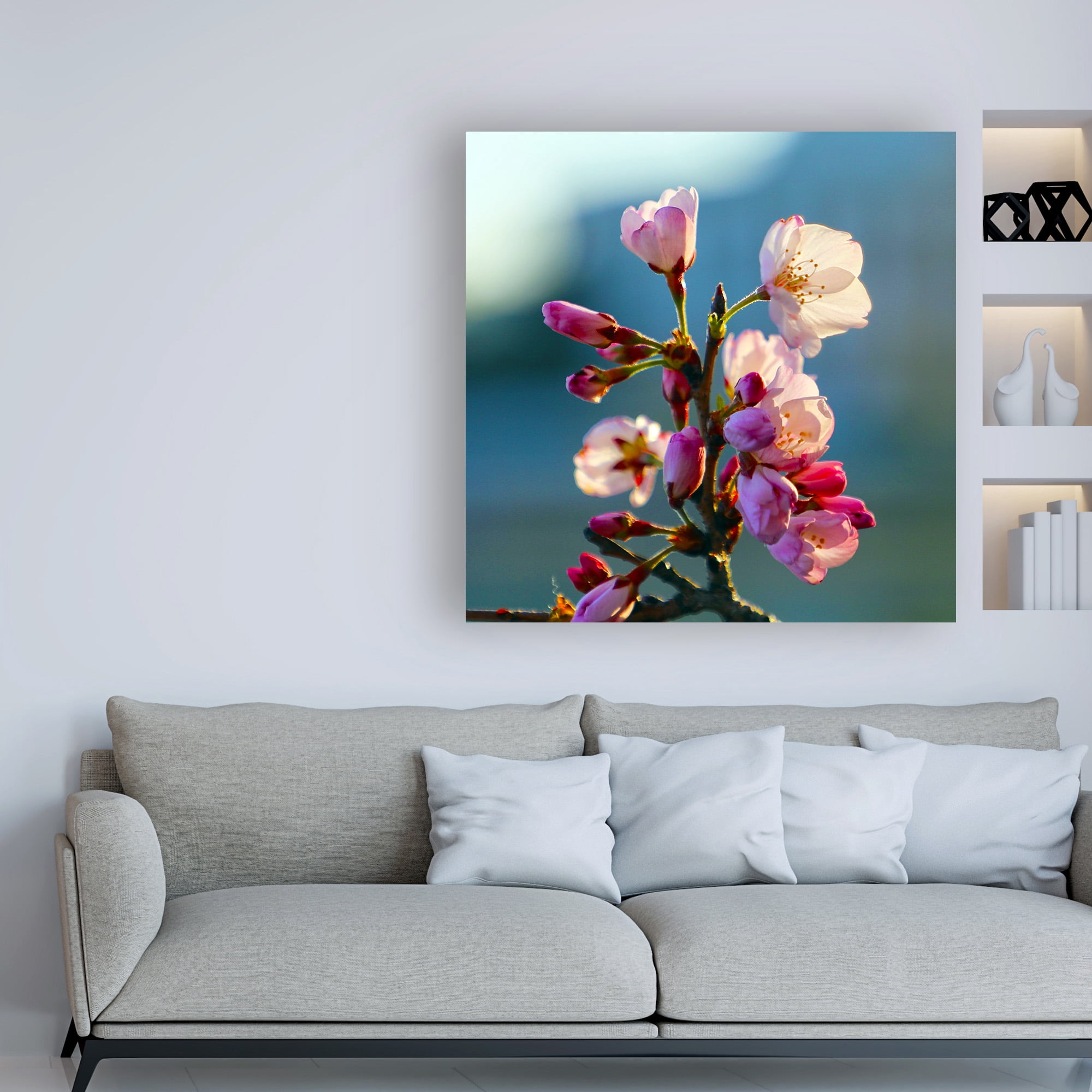 Trademark Fine Art 'Cherry Blossom Blurred' Canvas Art by Mitch Catanzaro