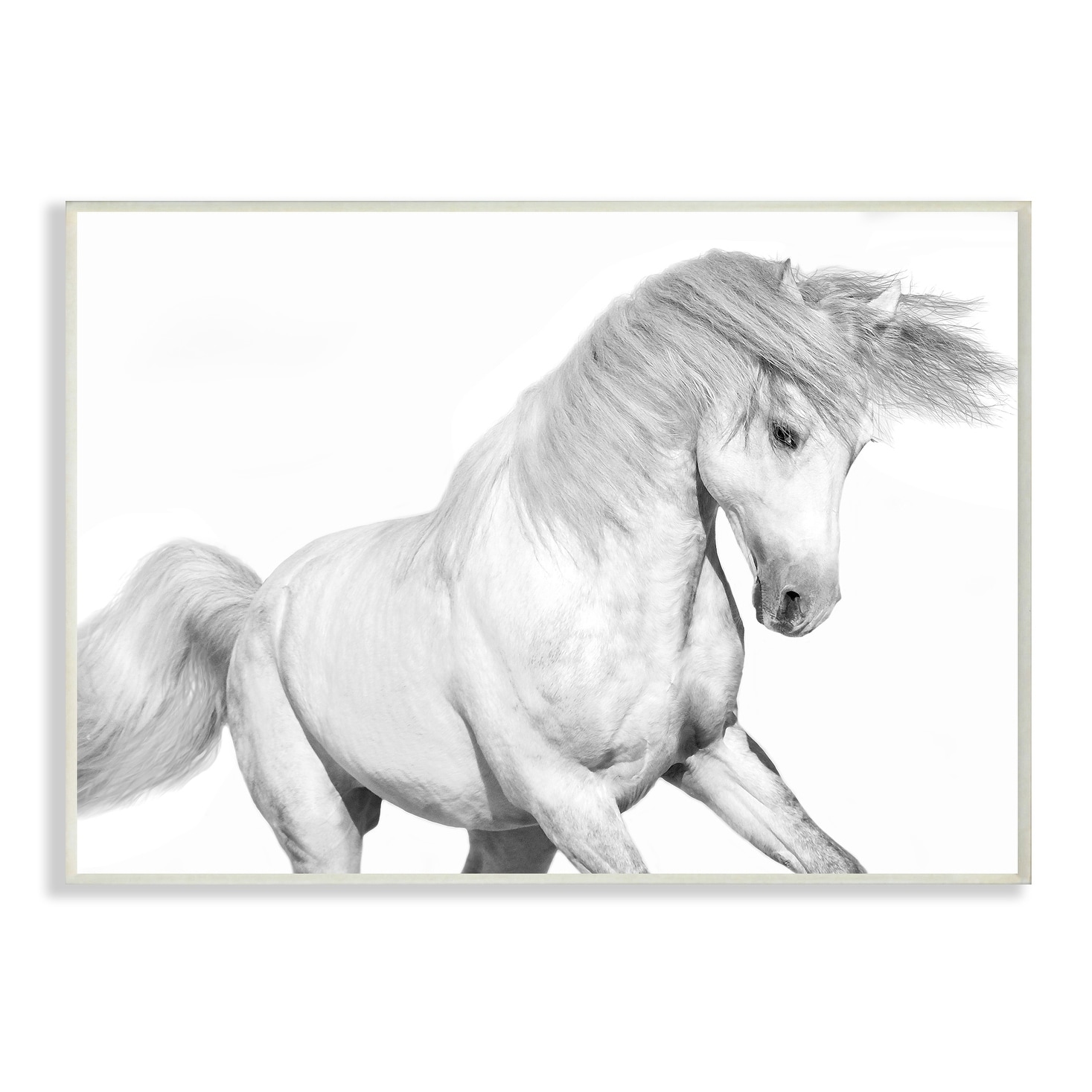 The Stupell Home Decor Collection Majestic Black and White Horse Bucking in the Wind Painting Wall Plaque Art, 10 x 0.5 x 15