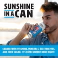 thumbnail image 3 of Shine Water Mixed Berry Acai Vitamin D Electrolyte Drinks 12-Pack, Sugar Free Flavored Water with Magnesium, Zinc & Antioxidants, Low Calorie Hydration, 3 of 6