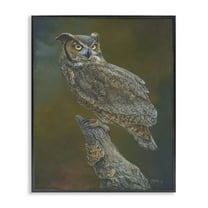 Stupell Industries Great Horned Owl on Branch Animals Painting Black Framed Art Print Wall Art, 11 x 14