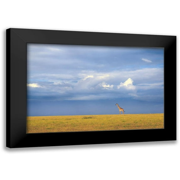 Itoyama, Eiji 18x13 Black Modern Framed Museum Art Print Titled - Colors of freedom