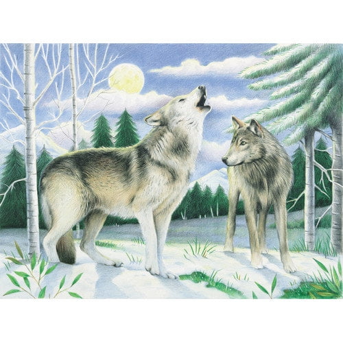 Reeves Watercolor Pencil By Numbers Advanced Large Wolves Watercolor