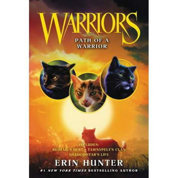 Pre-Owned Path of a Warrior (Paperback) 0062798847 9780062798848