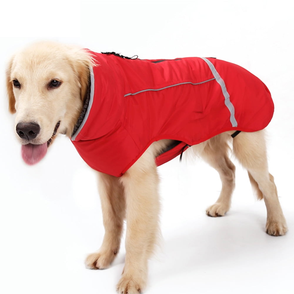 Dog vests for winter sales