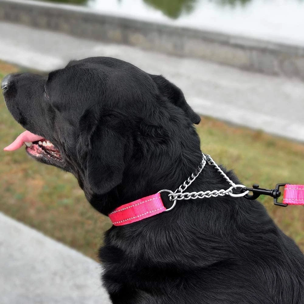 Bulk Dog Collars 50 Adjustable Chain Martingales Assorted Color Rescue Shelter (Medium - 16 to 24 Inch)