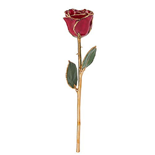 Flowers & Leaves Lacquer Dipped 24K Gold Trim Single Stem Red Rose 