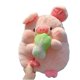 thumbnail image 1 of Sleeping Comfort Doll for Children'S Birthday Gift pig, 1 of 5