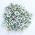 thumbnail image 5 of SPRING PARK 100Pcs 2cm Flower Heads Mini Silk Artificial Flowers Flowers Home Wedding Decoration DIY Wreath Accessories Craft, 5 of 7