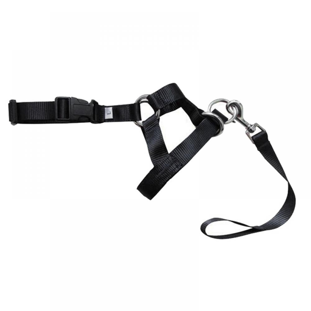 JANDEL Nylon Dog Training Head Collar No Pull, Head Harness Stops Dog