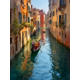 thumbnail image 1 of Qisvanset 12x16 Inch Neon Dragonfly Canvas Print Wall Art, 1 of 5