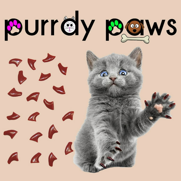 Nail Caps for Cats 1 Year Supply Pretty Claws Chocolate Brown Kitten