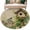 SpringGreen Beige, variant on Small Round Rug 3Ft Washable Non-Slip, Spring Floral Circle Area Rugs for Living Room Bedroom, Birds Cabin Daisy Watercolor Botanical Indoor Floor Mats Carpet Runner for Home Decor