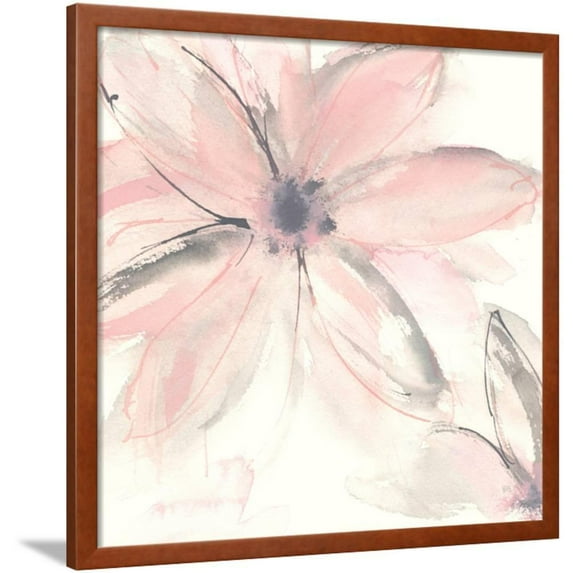 Blush Clematis II, Botanical Framed Art Print Wall Art by Chris Paschke Sold by Art.Com