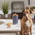 thumbnail image 4 of Bone Dry Lattice Pet Treat Jar Canister, Dishwasher Safe,4x6.5", Nautical Blue, 4 of 5