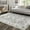 Gray green tone, variant on Geetinfly 2*6FT Area Rugs 2in*6in Persian Boho Runner Rug Vintage Floral Distressed Runners Anti-Slip Low Pile Bedsides Floor Carpet for Kitchen Laundry Gray Green Gray green tone