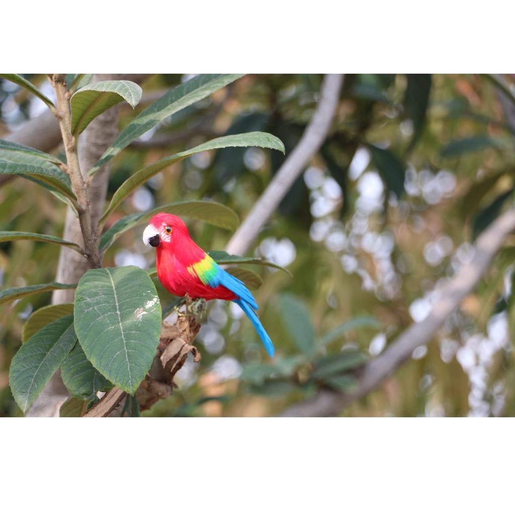 Artificial Magpie Parrot Bird Realistic Taxidermy Home Garden Decor 15-28cm 