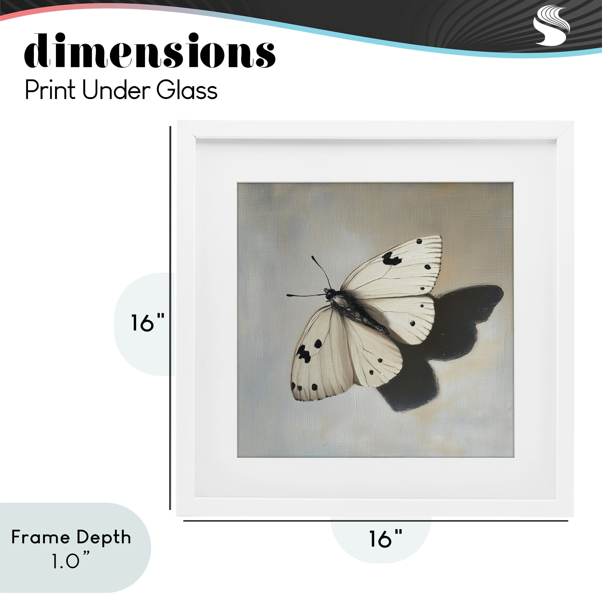 Stupell Industries Velvet's Butterfly Wings White Framed Print Under Glass, design by Svetlana Aleynikova