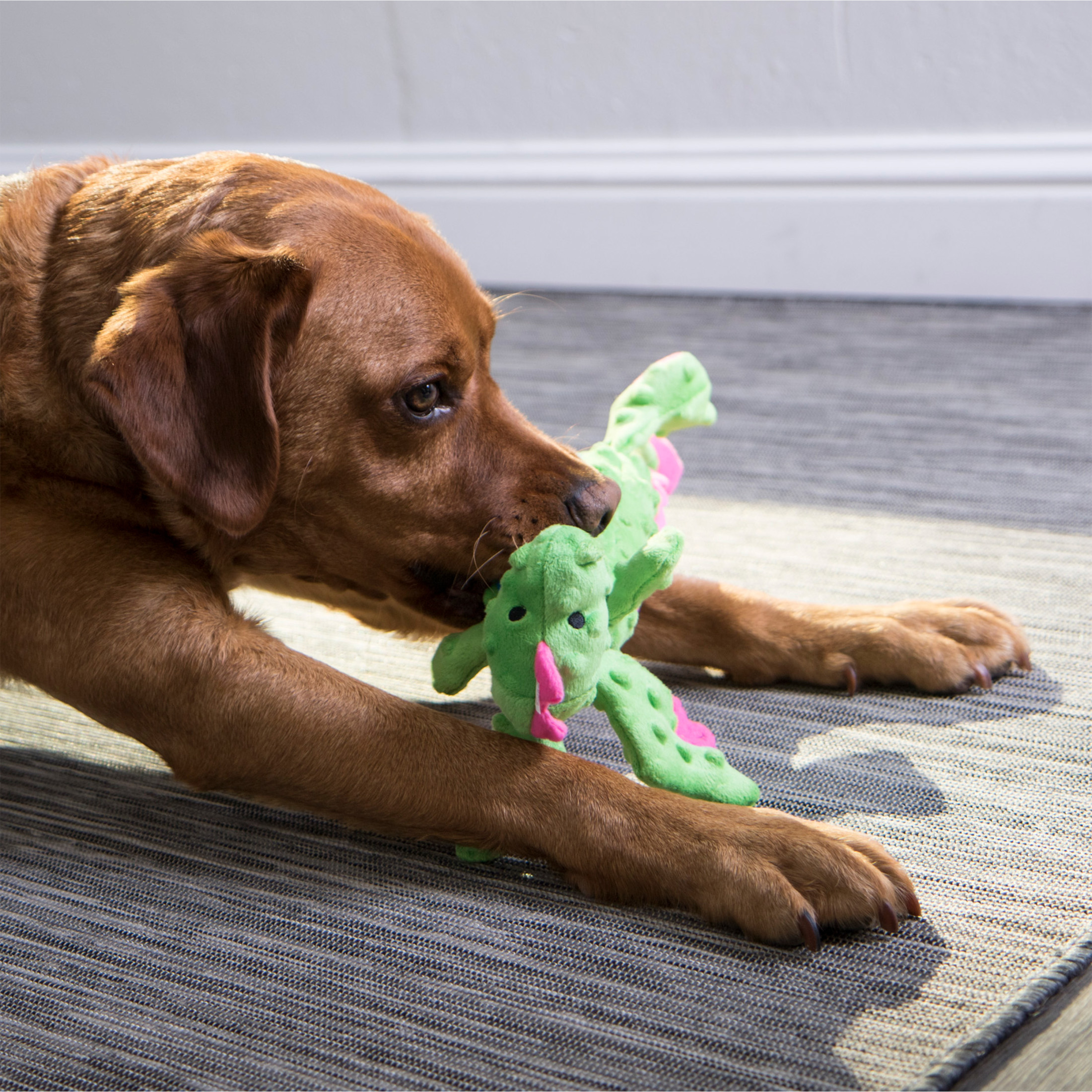 goDog Skinny Dragons Squeaky Plush Dog Toy, Green photo 4